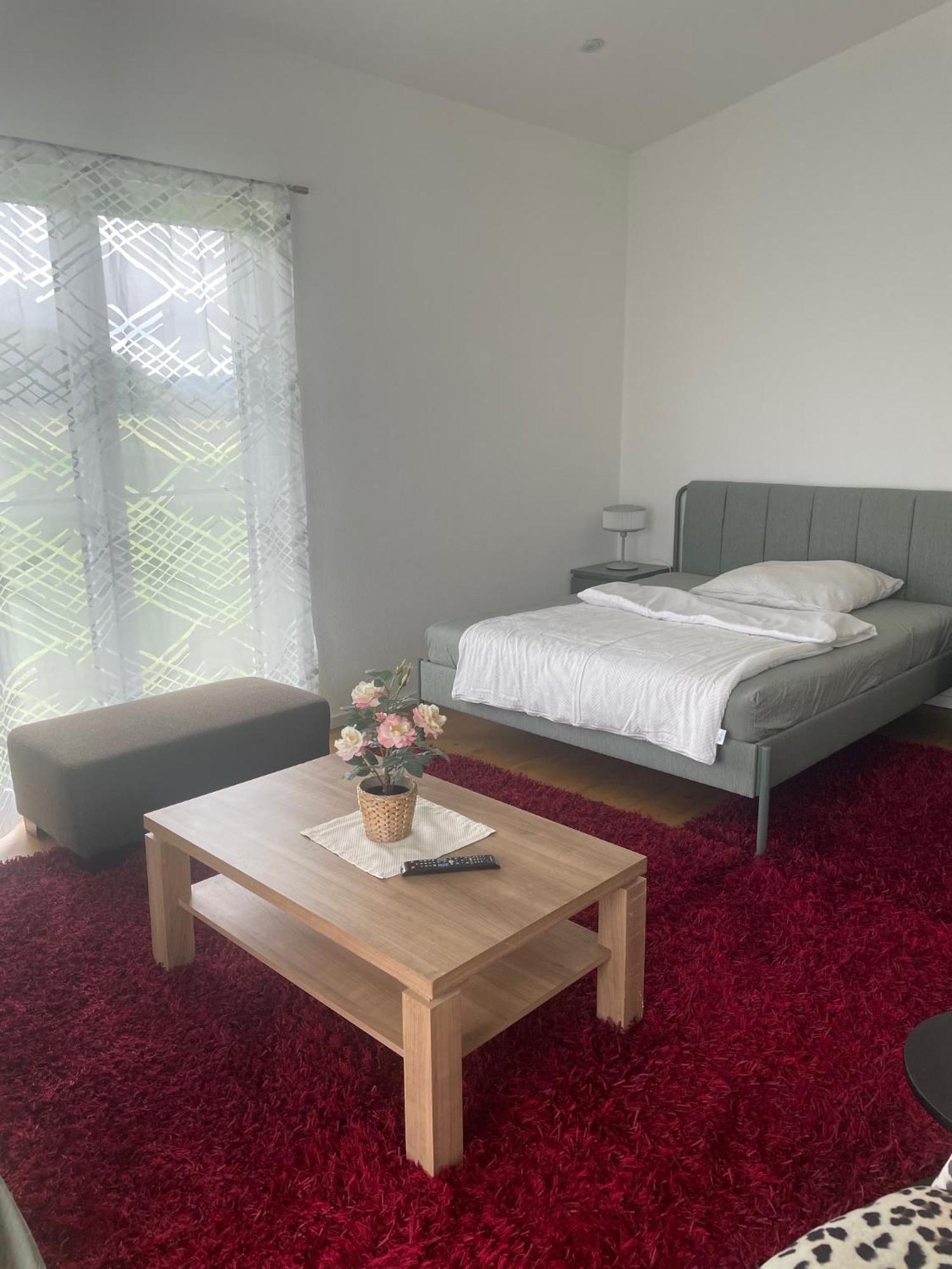 Feine Auszeit Apartment Gottmadingen Bagian luar foto